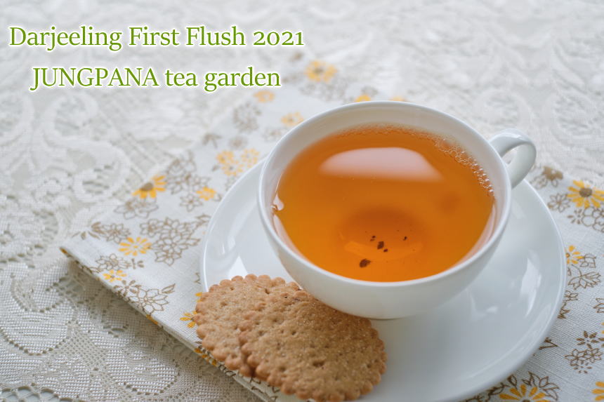 ダージリンファーストフラッシュ2021ジャンパナ茶園