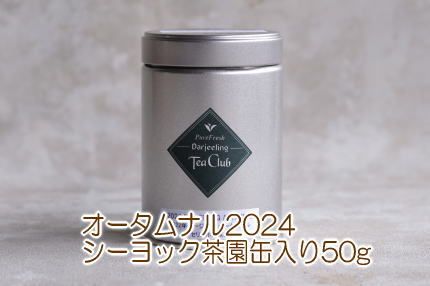 ダージリンオータムナル2024シーヨック茶園50g缶