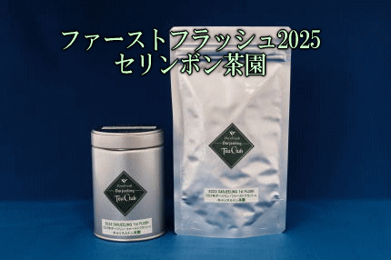 ダージリンファーストフラッシュ2025セリンボン茶園【完売