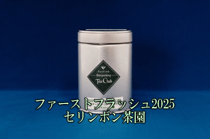 ダージリンファーストフラッシュ2025セリンボン茶園
